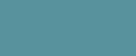 HOME BRILLANT ATOLL 25X60 х