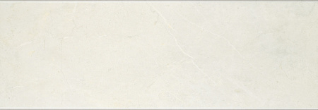 STUDIO IVORY RELIEVE 25*50 50х25