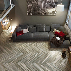 Cerdomus (Италия) EPIC